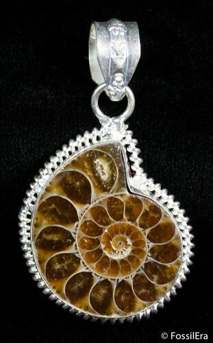Ammonite Pendant #2832